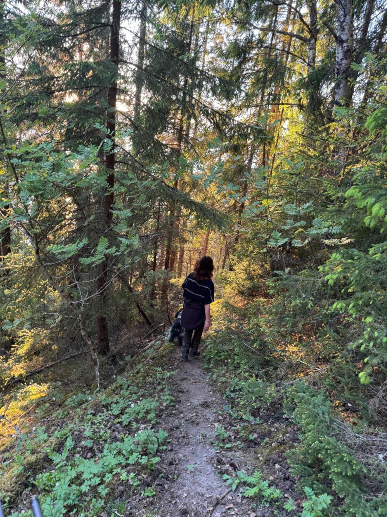 Skarnsundet 3 Villa Vangshylla Exteriör bild